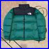 The_North_Face_1996_Retro_Nuptse_700_Down_Jacket_Brand_New_Green_Puffer_01_cys