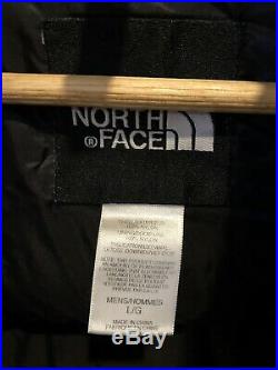 Vintage North Face Summit Series 900 LTD Quantum Down Jacket Nuptse Puffer Large